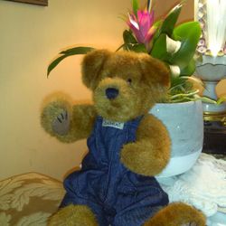 The Boys collection Bear with overalls