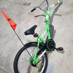 Copilot Bike Trailer