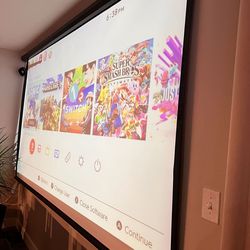Projector Screen
