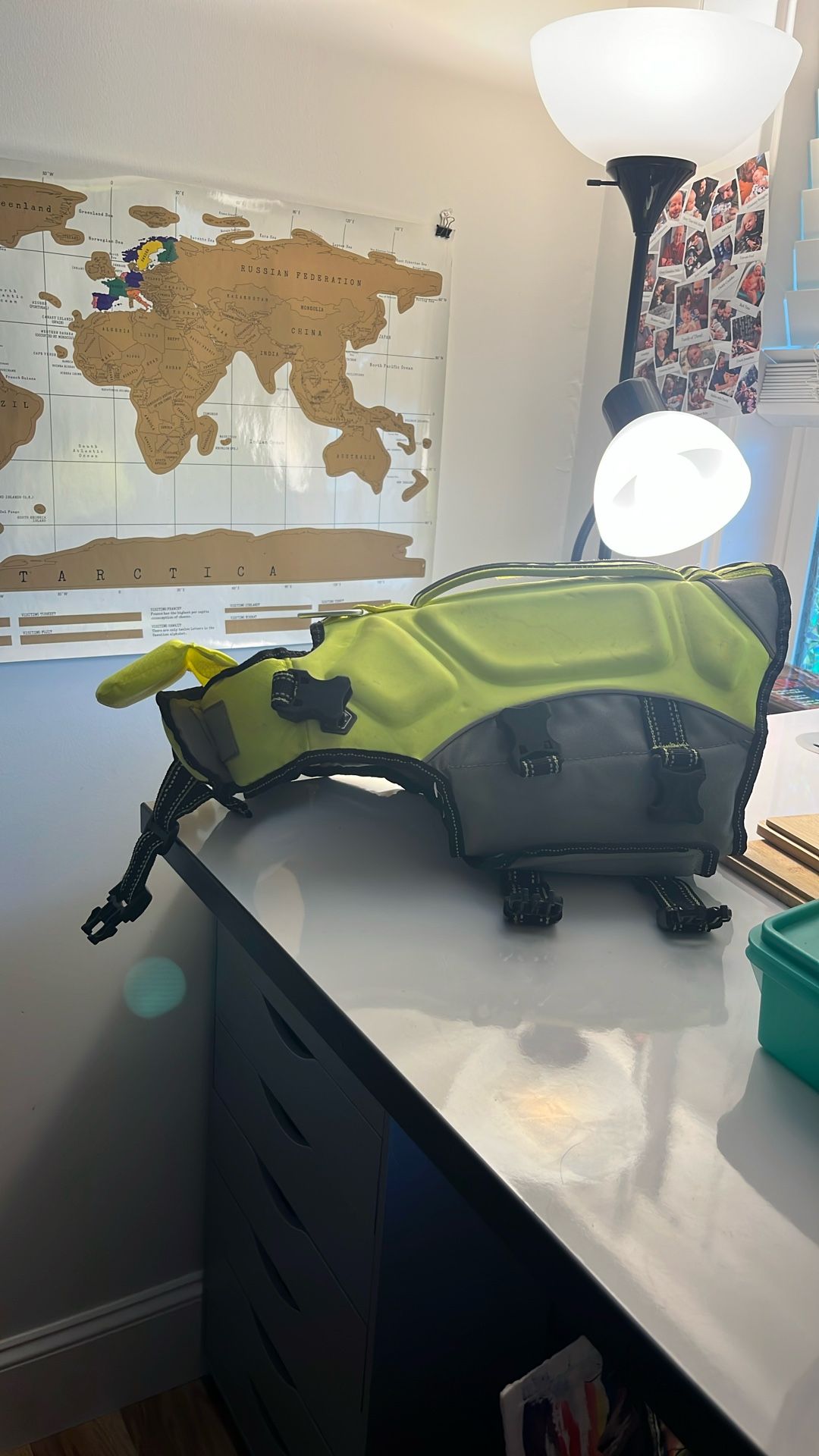 Arcadia Dog Life Jacket