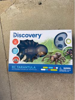 Spider toy