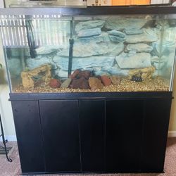 Fish Tank