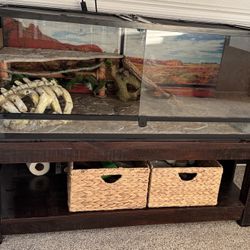 Reptile Enclosure, Table & More!