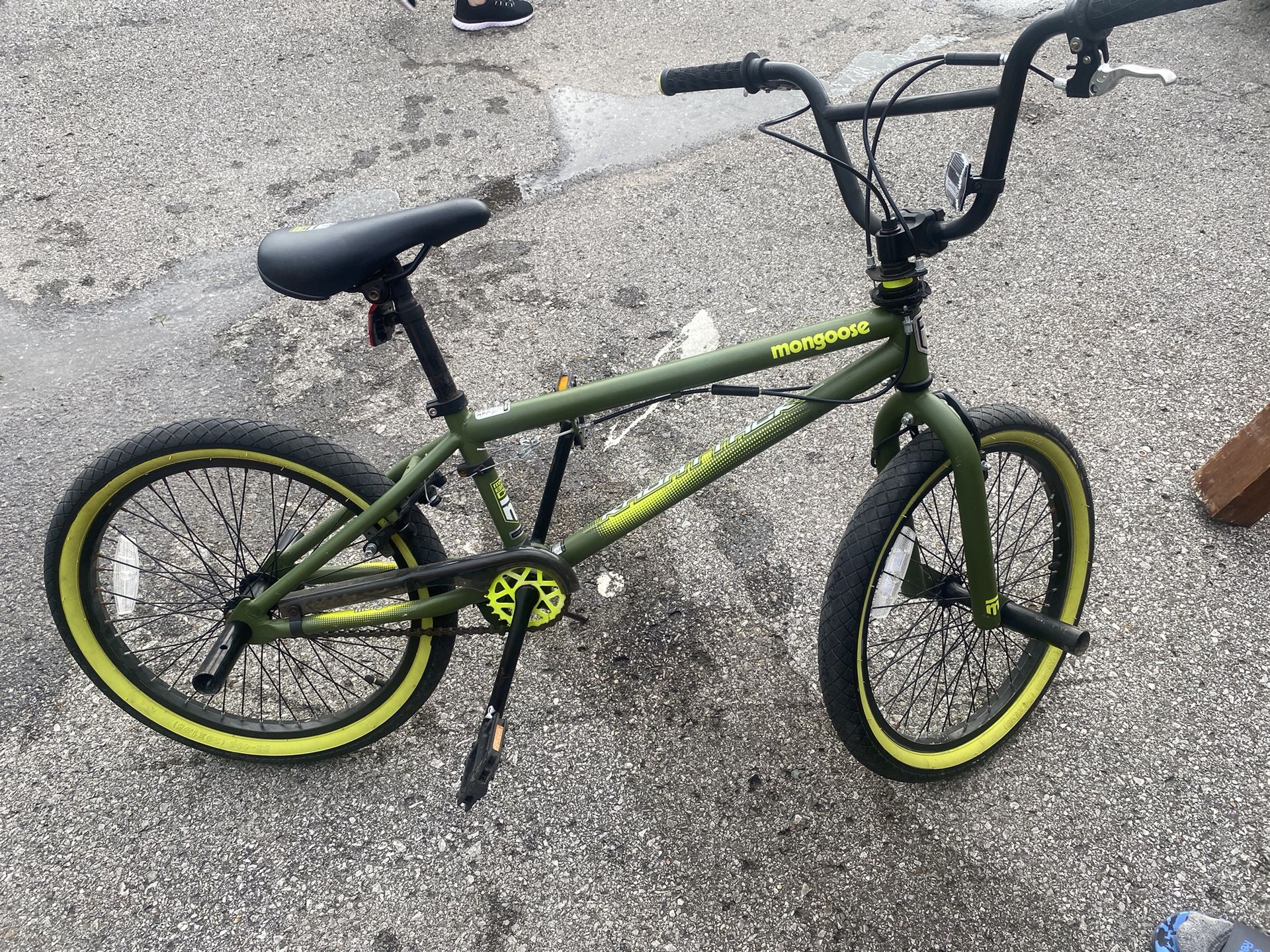 Mongoose