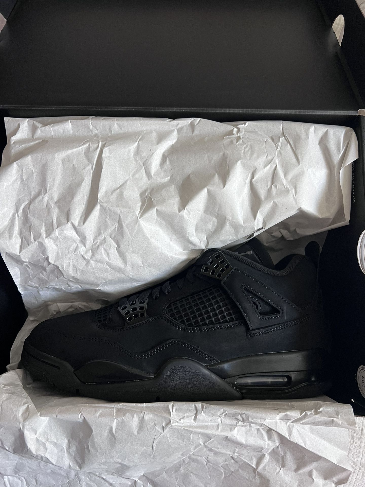 Black Cat 4s Sz 10