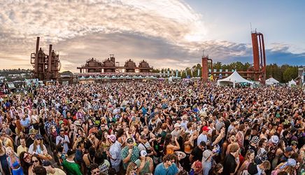 2026 day trip festival ( Sunday)