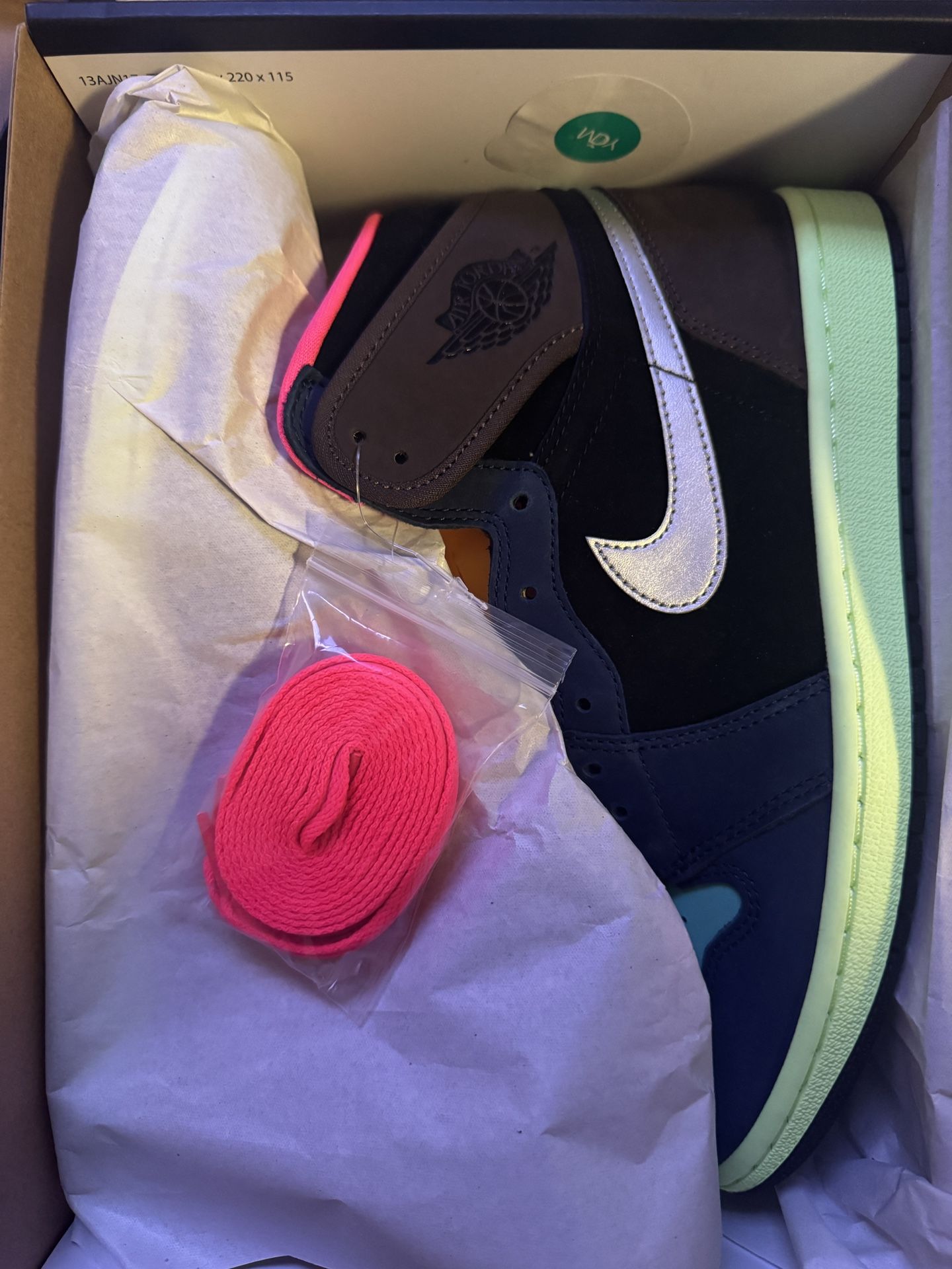Jordan 1 Biohack