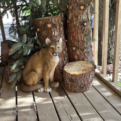 Indoor Collectible Statue  