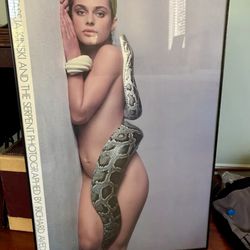 Richard Avedon “Natasha Kinski and the Serpent” Framed Art Print