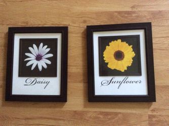 Wall art sunflower and daisy 11 1/2 x 9 1/2 set of 2
