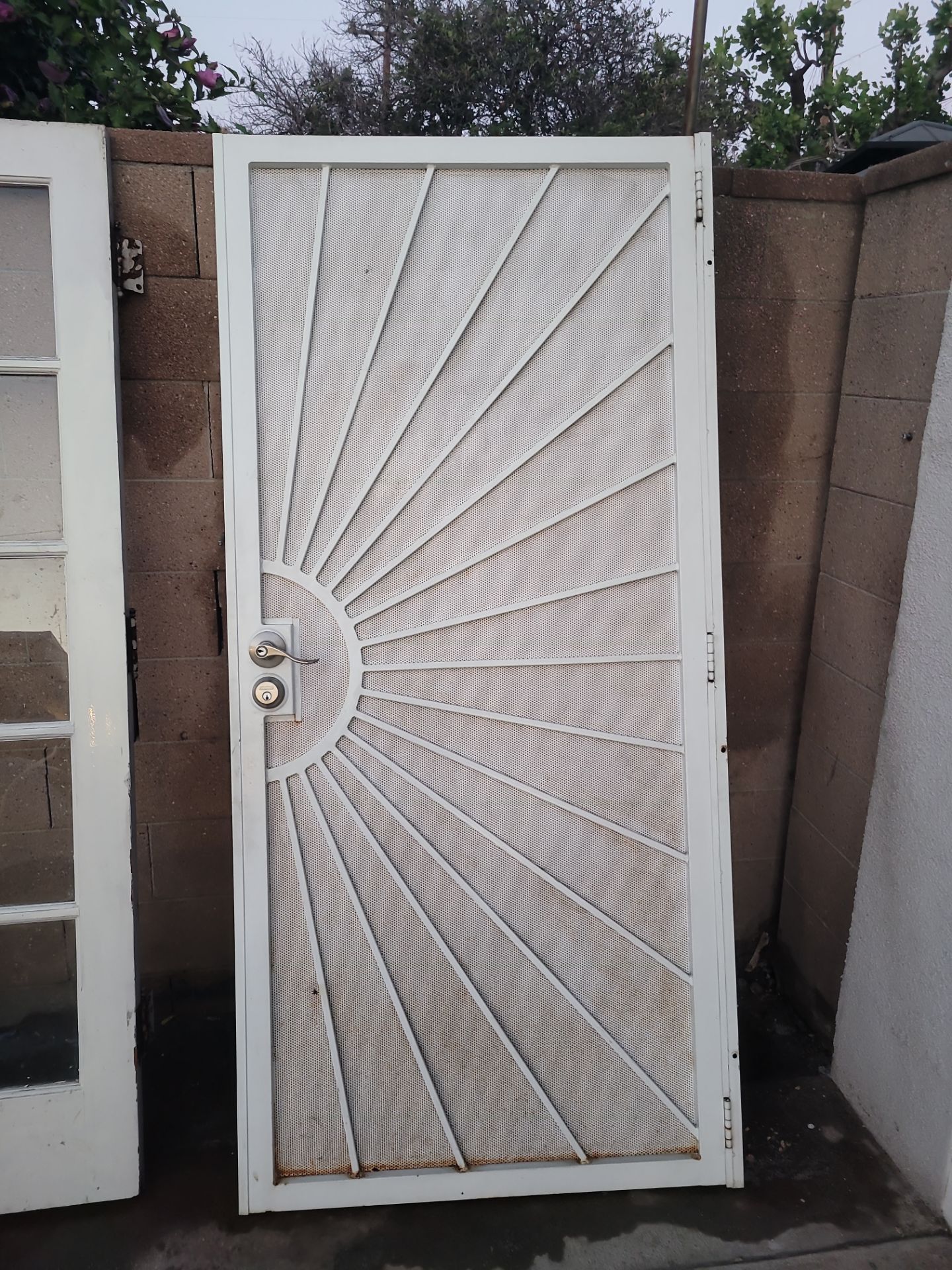 Security door