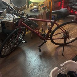 Trek FX-1
