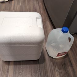 Free Mini Cooler And Icepacks