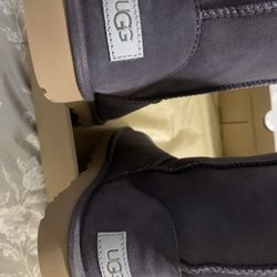 Ugg’s Classic Short II