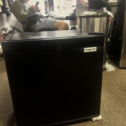 mini fridge