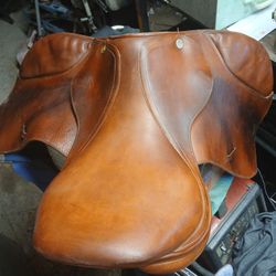 saddle 