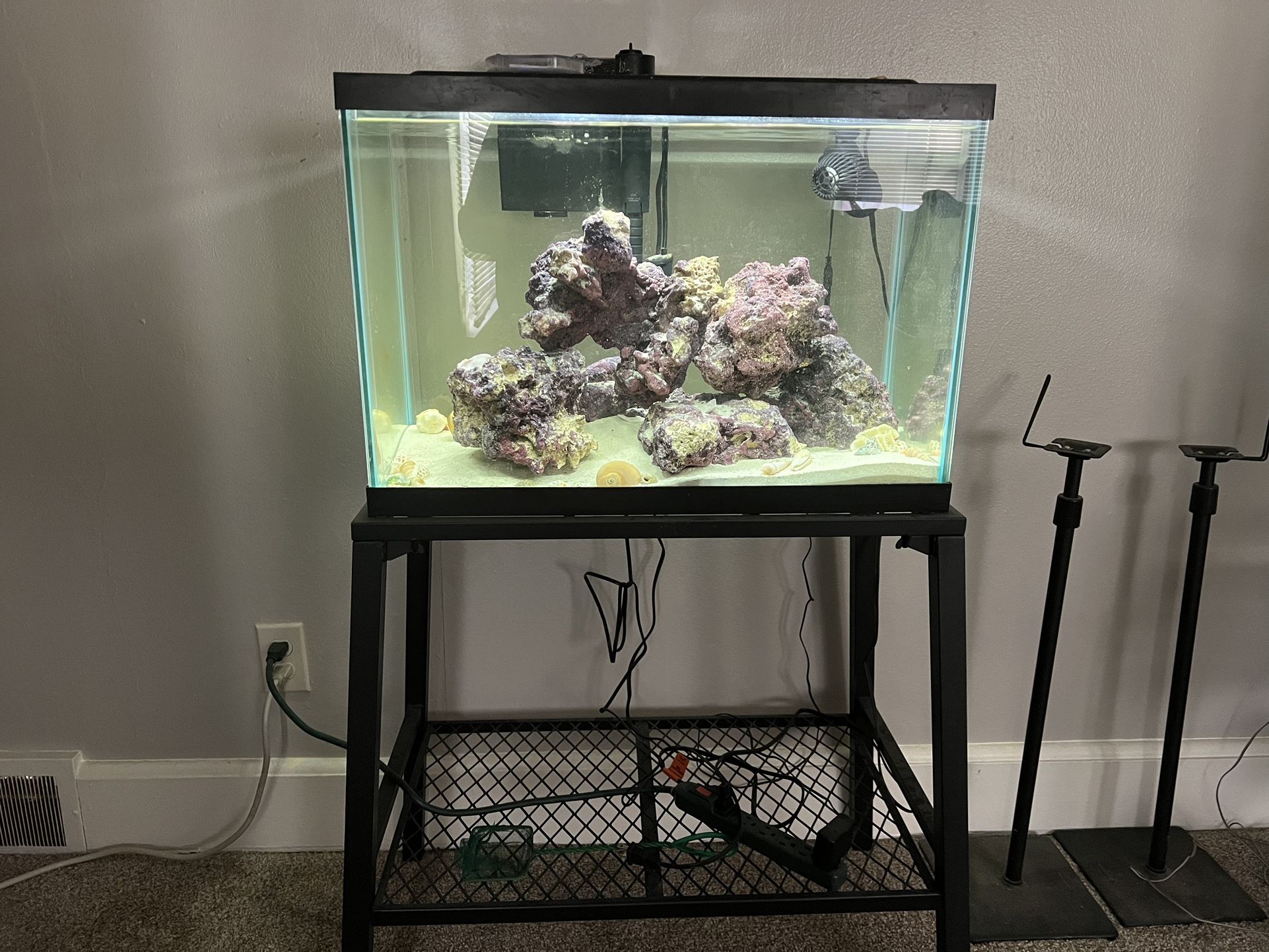 20 Gallon Saltwater Fish Tank