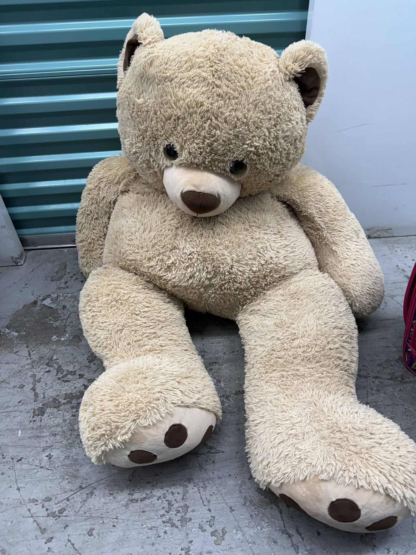 Extra Large Teddy Bear