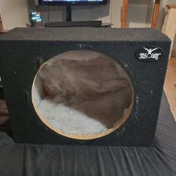 Absolute Usa 12" Subwoofer Enclosure