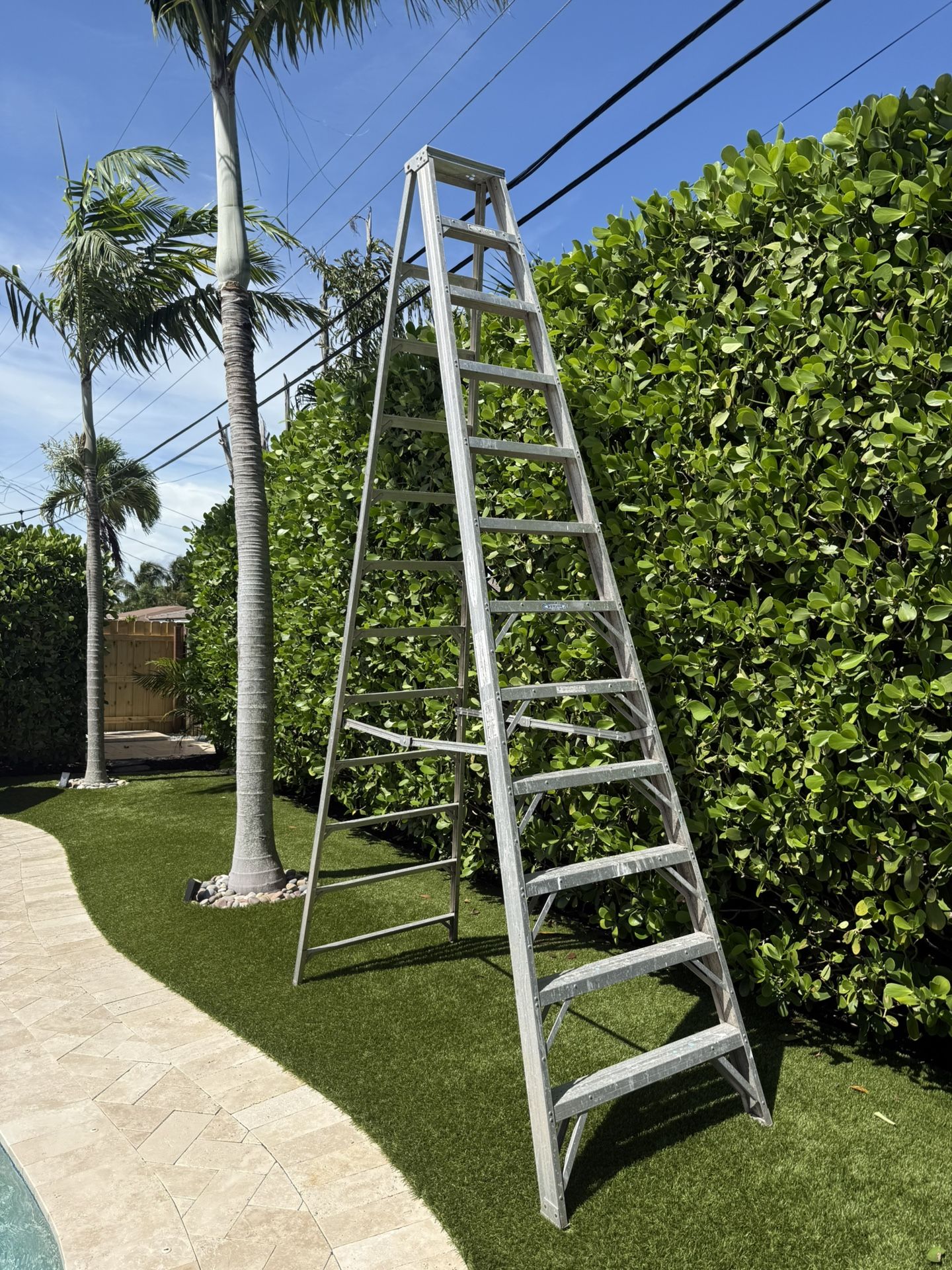 12 FT Ladder