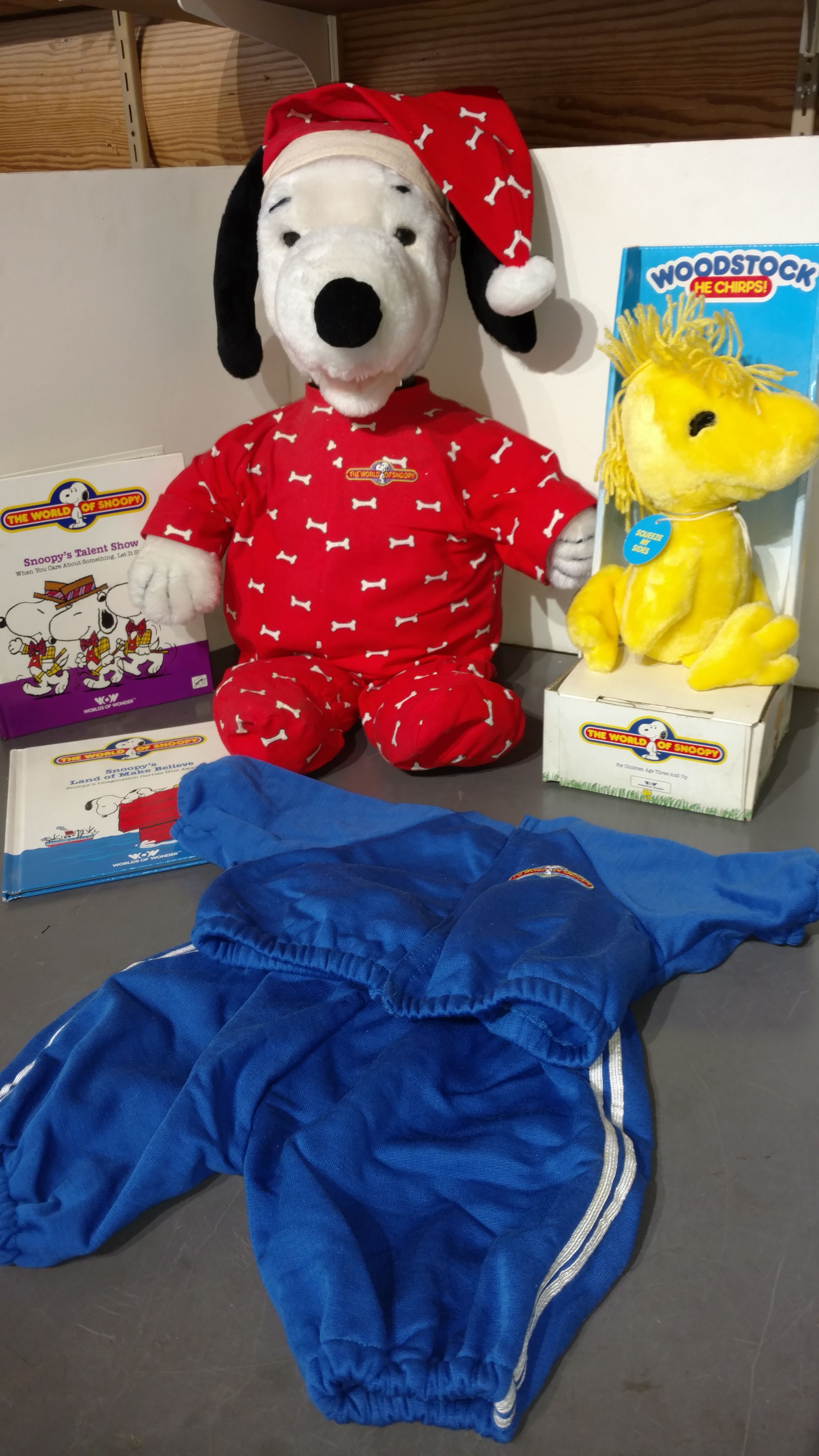 WOW Talking Snoopy with Woodstock