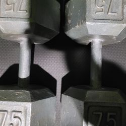 75lbs Dumbells Weights