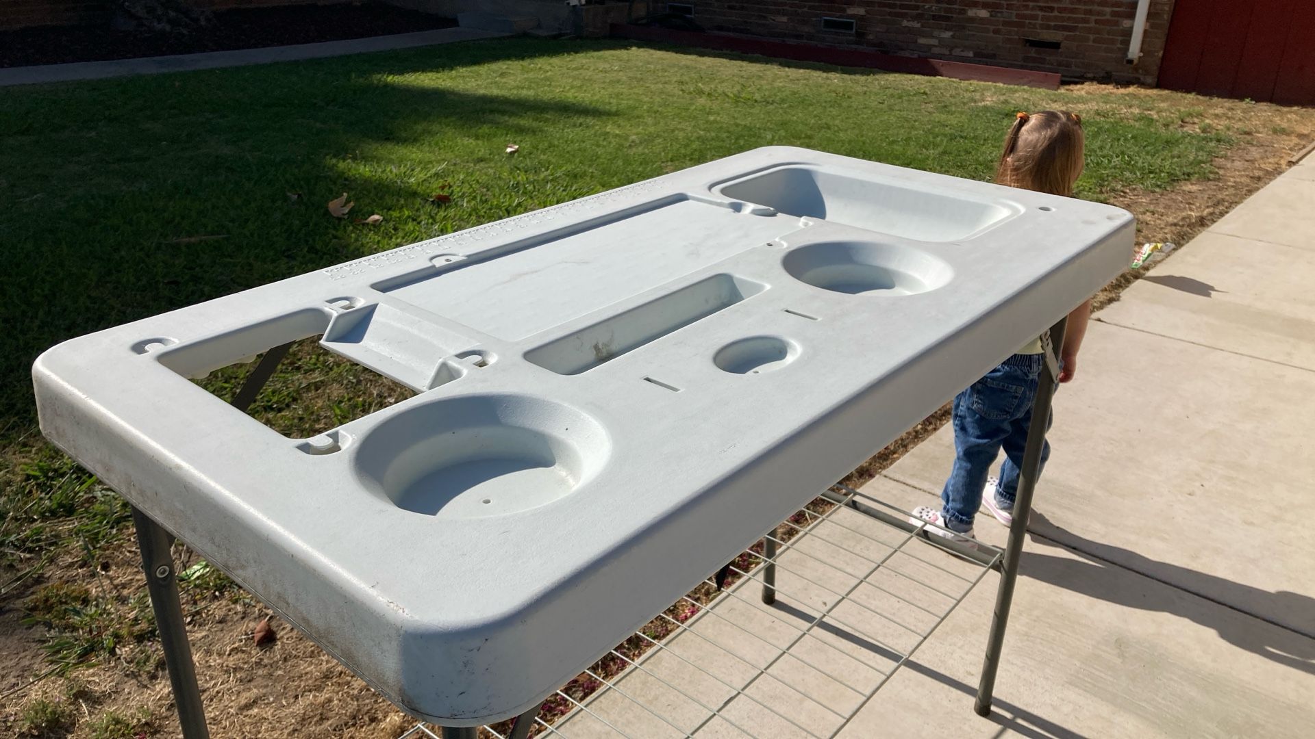 Fish Cleaning Table