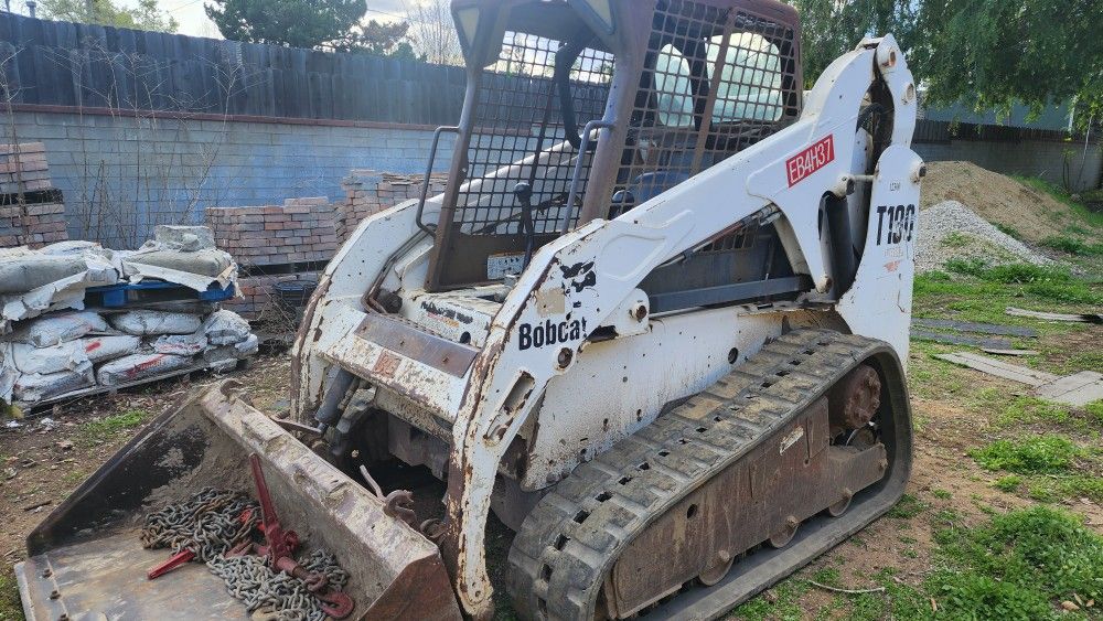 Bobcat