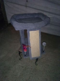 Cat bed and toys