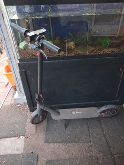 Electric scooter
