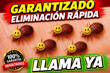 Manymatafumitodo Seguro