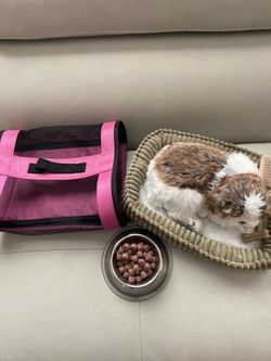 Toy puppy with food, brush, dog tag, play bones and carries