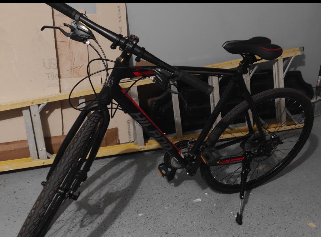 Hybrid Bike