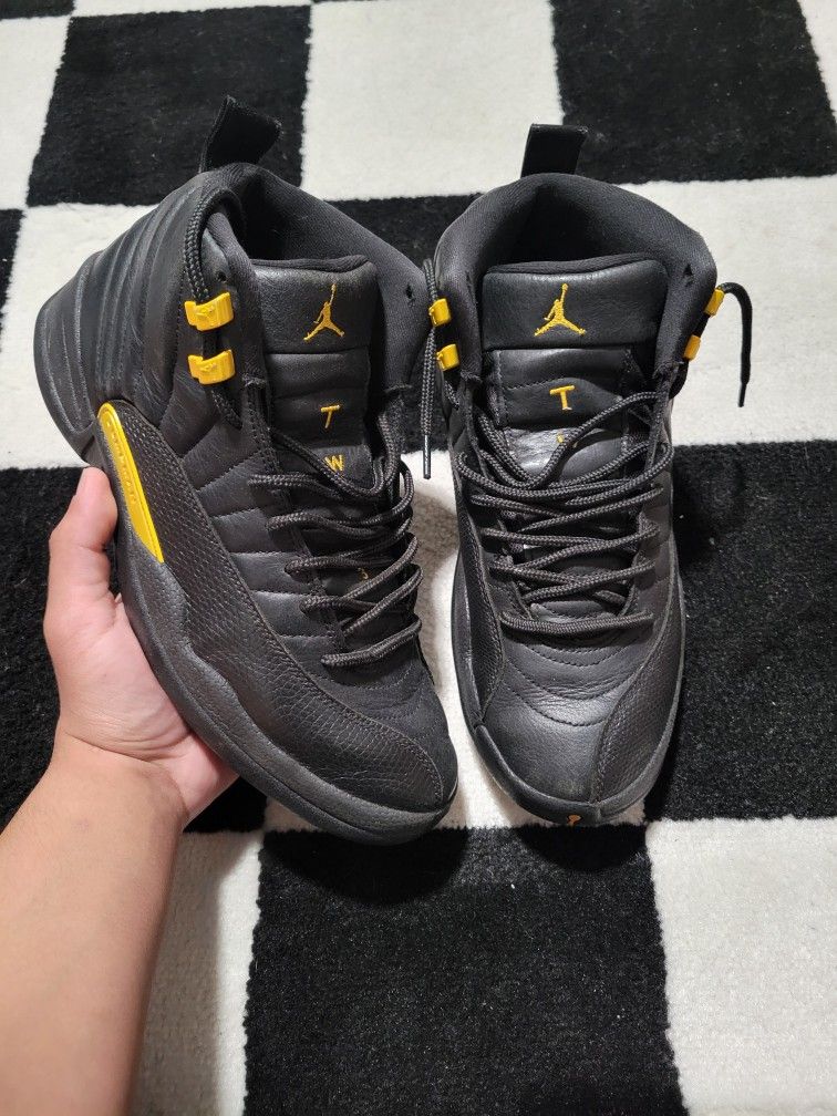 Air jordan 12 black taxi