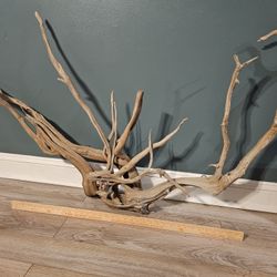 Beautiful Driftwood Artpiece