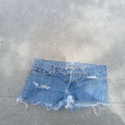 7 For All Mankind Jean Shorts
