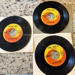 The Beach Boys Record Lot 