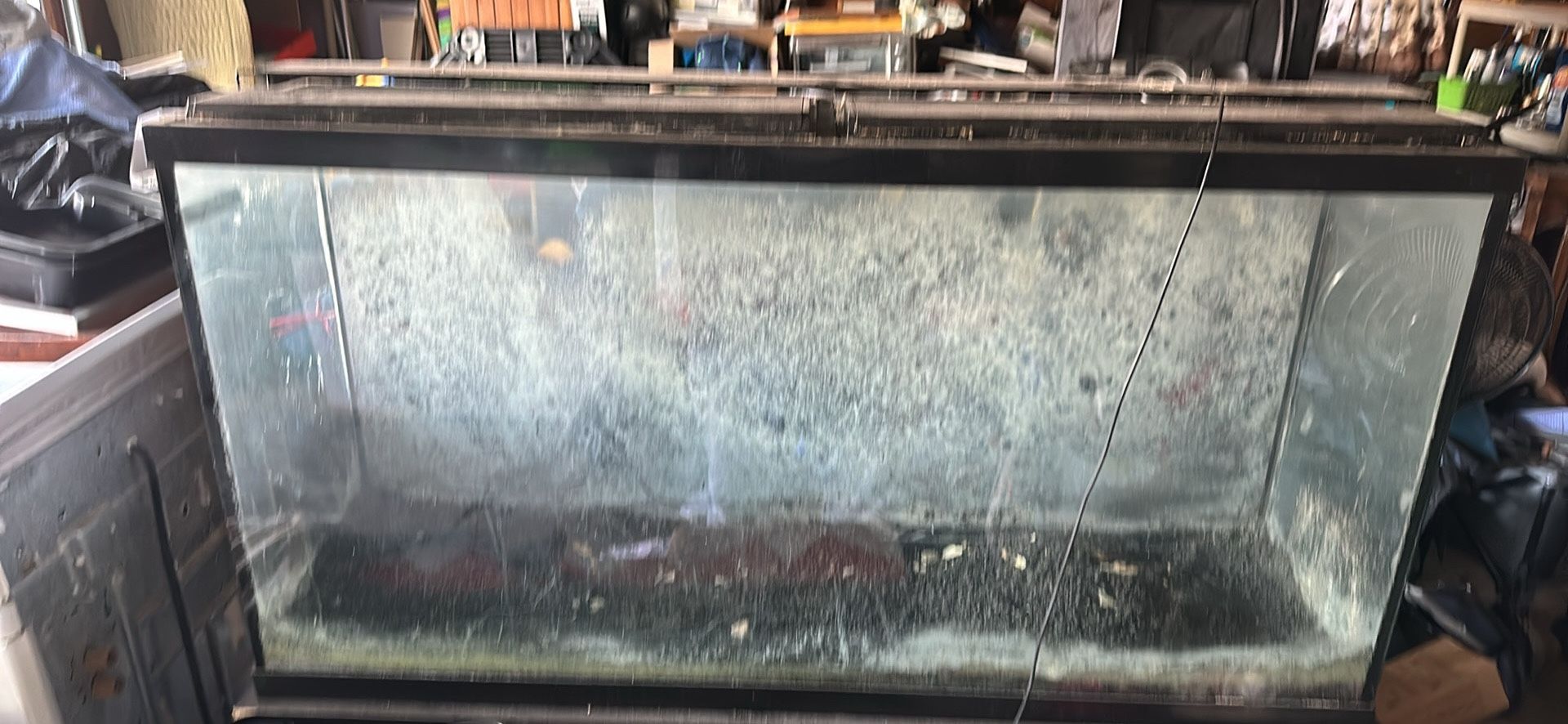 65 Gallon Aquarium