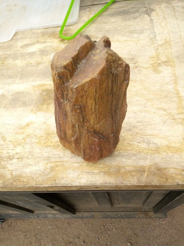 Petrified Wood