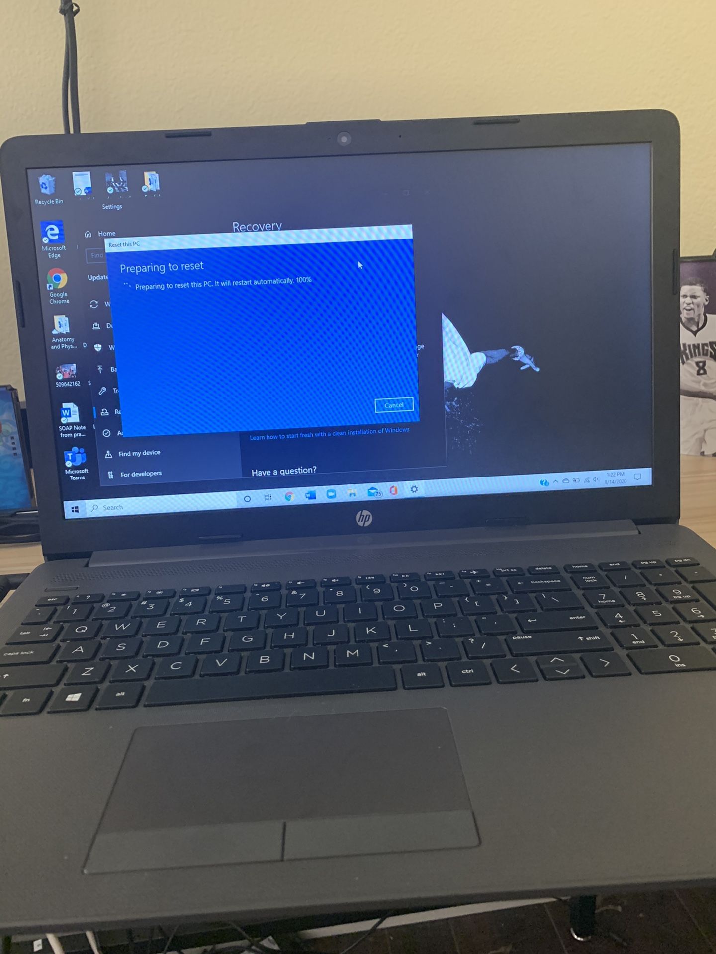 HP 250 G7 Notebook Laptop