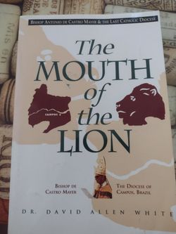 The Mouth Of The Lion