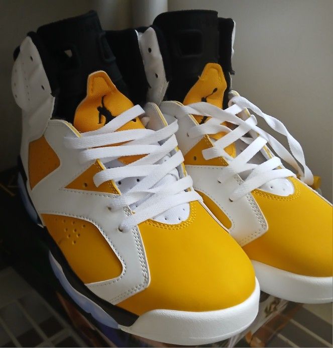 Retro Jordan 6s Size 12
