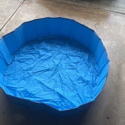 Dog Swimming Pool