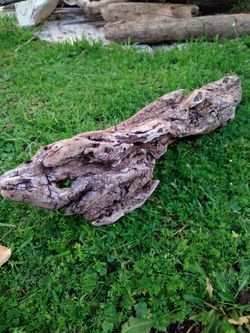Driftwood For Aquariums Terrariums Decor 