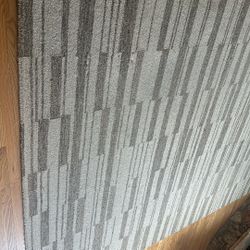 Beautiful Wool And Jute Rug