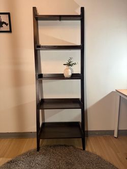 Leaning Wall Ladder Shelf