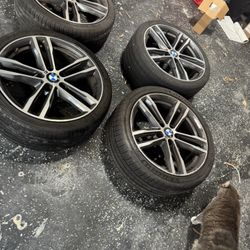 19in BMW Msport Rims 