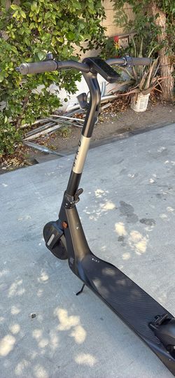 Scooter BIRD