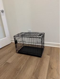 Dog create