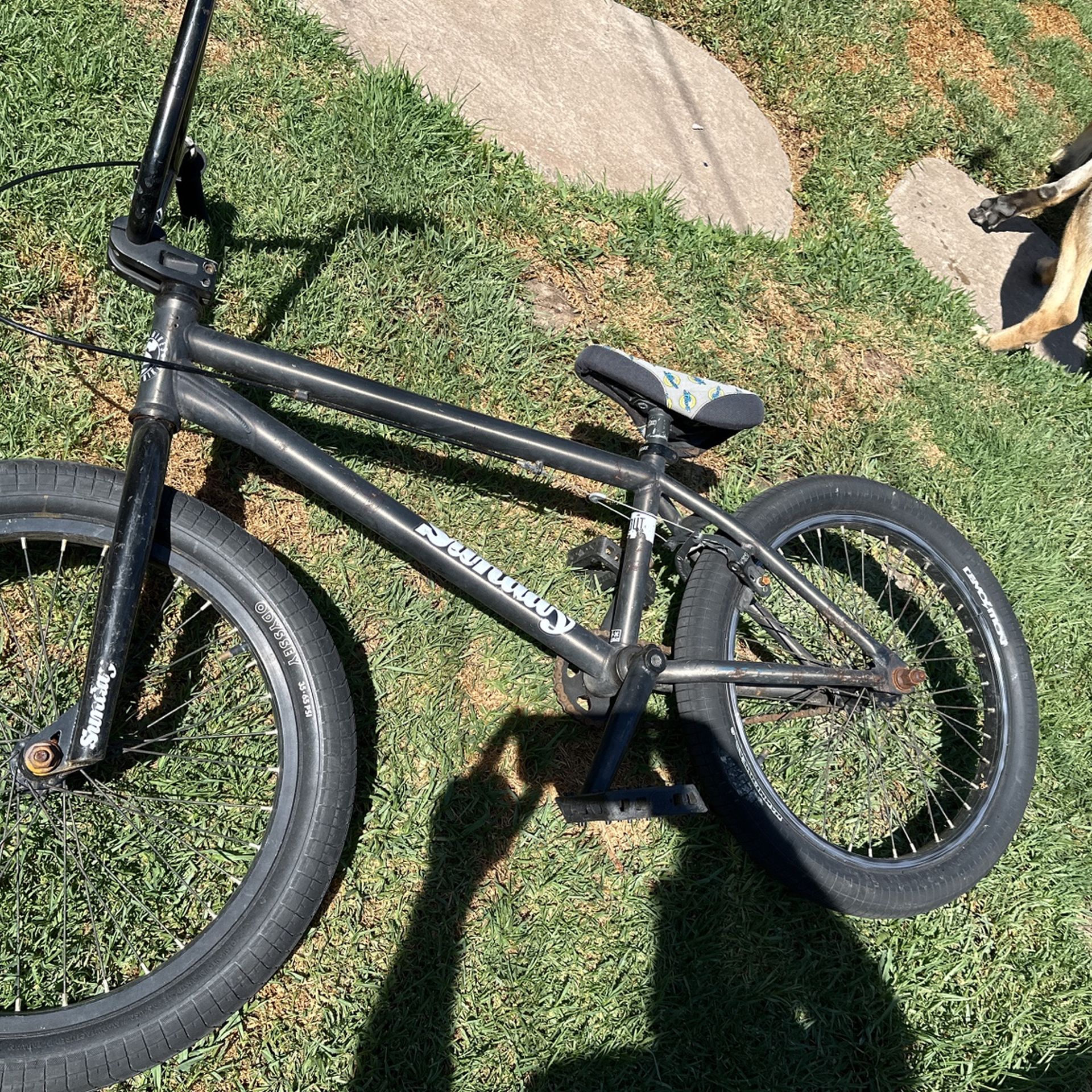 Sunday BMX Freestyle Bikes for Sale in Huntington Beach, CA OfferUp